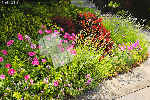 Image of Lush garden at home