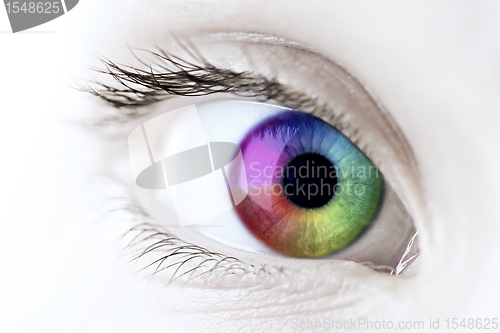Image of Rainbow eye closeup