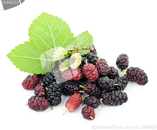 Image of Fresh mulberries with leaves