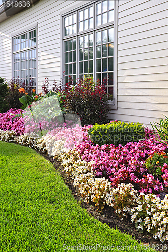 Image of Colorful flower garden