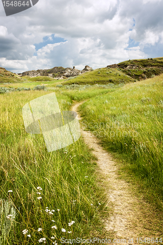 Image of Trail in Badlands in Alberta, Canada