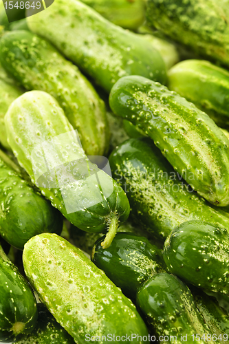 Image of Cucumbers background