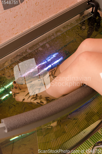Image of Fish spa pedicure