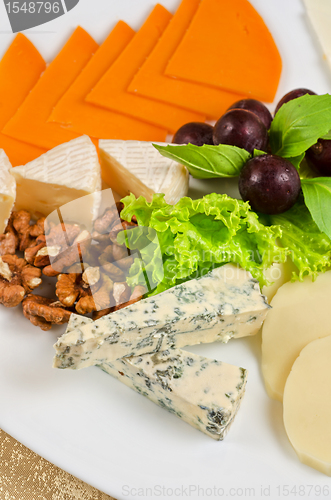 Image of cheese