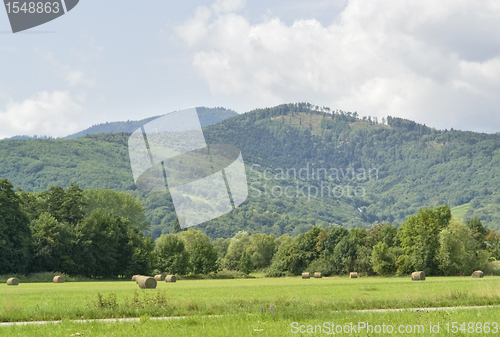 Image of Alsace scenery at summer time