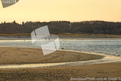 Image of idyllic Crane Beach scenery