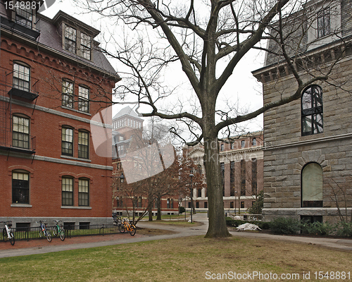 Image of Harvard Yard in Cambridge