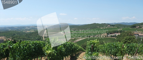 Image of Chianti in Tuscany