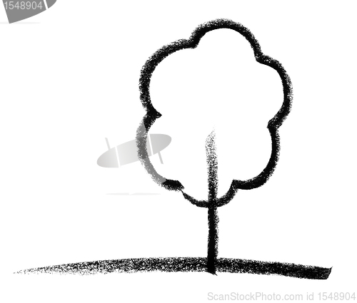 Image of deciduous tree sketch