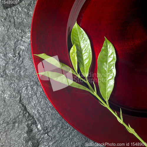 Image of round red plate and green twig