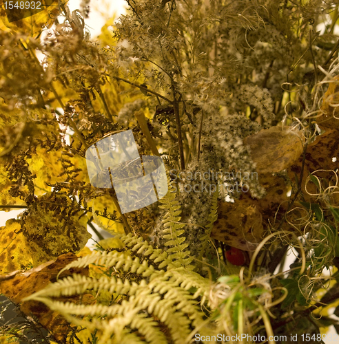 Image of autumn background