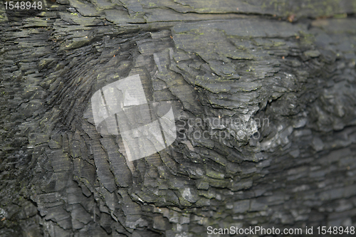 Image of charred wood detail