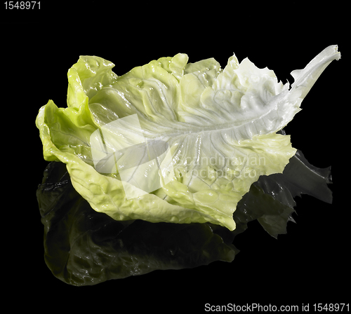 Image of fresh green lettuce leaf