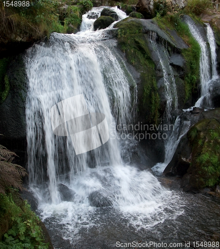 Image of Triberg Waterfalls in the Black Forest