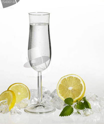 Image of clear drink and citrus fruits