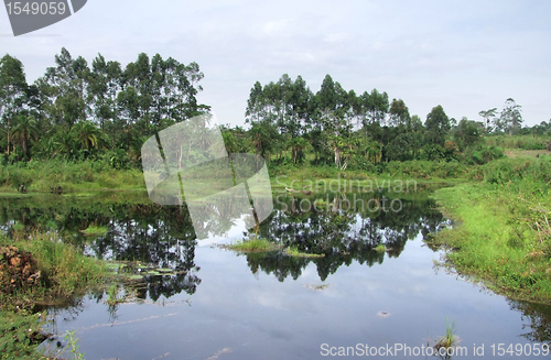 Image of waterside scenery near Rwenzori Mountains in Uganda