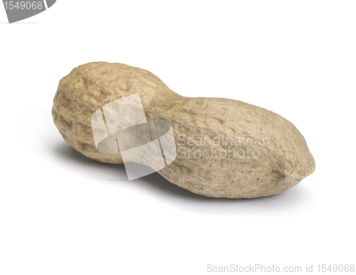 Image of perfect peanut