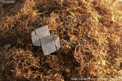 Image of fine cut tobacco background