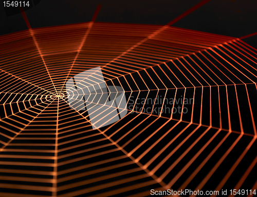 Image of painted spiderweb