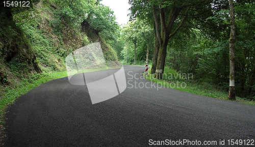 Image of Ardennes road at summer time