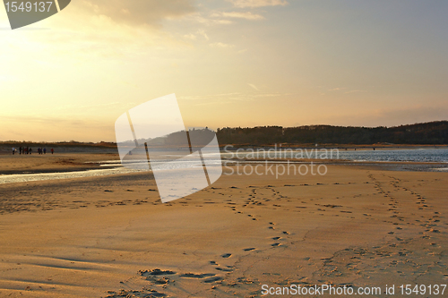 Image of Crane Beach illuminated by the evening sun