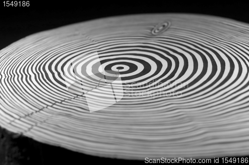Image of abstract annual rings