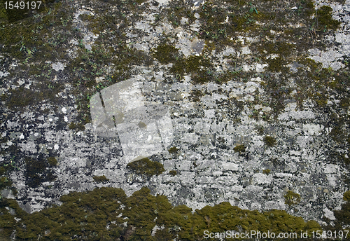 Image of old overgrown stone wall