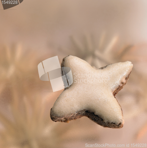Image of cinnamon star in light blurry back