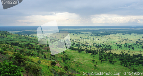 Image of around Bwindi Impenetrable Forest in Uganda