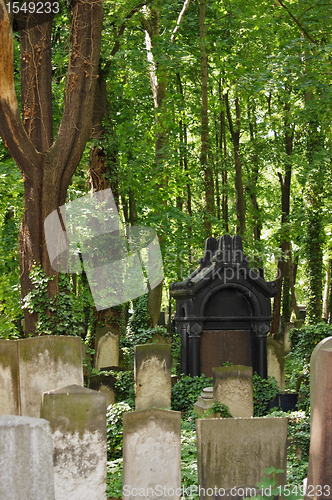 Image of detail of a old graveyard in Berlin