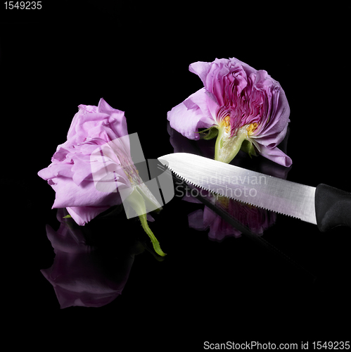 Image of halved rose and knife