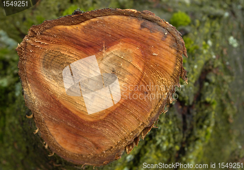 Image of wooden heart shape