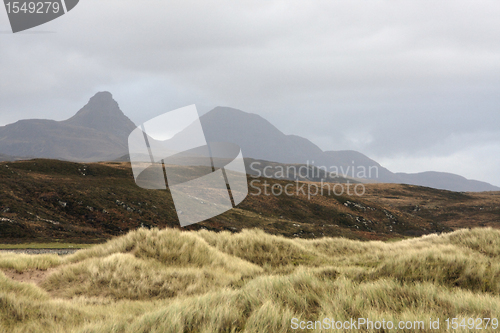 Image of overgrown dunes and hills