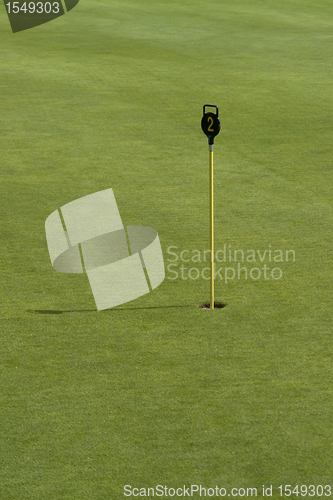 Image of hole and golf balls in green back