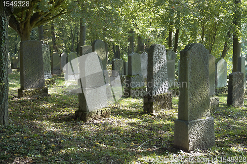 Image of old gravestones backside