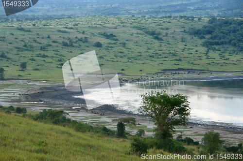 Image of Chambura Gorge waterside scenery