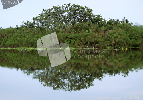 Image of waterside view of the Lake Victoria near Entebbe