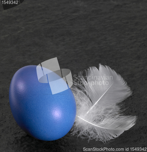 Image of easter egg and down feathers