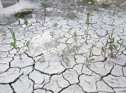 Image of chapped desert border