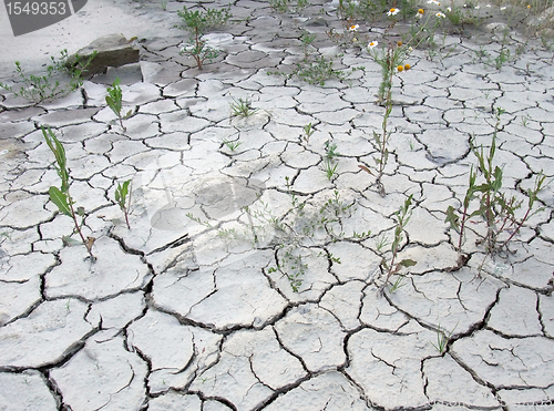 Image of chapped desert border