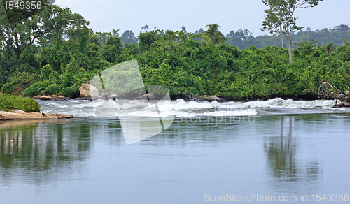 Image of River Nile scenery near Jinja in Africa