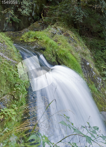 Image of idyllic Triberg Waterfalls