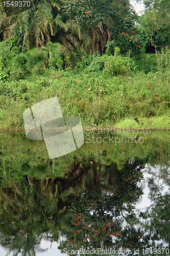 Image of waterside scenery in the Kabwoya Wildlife Reserve