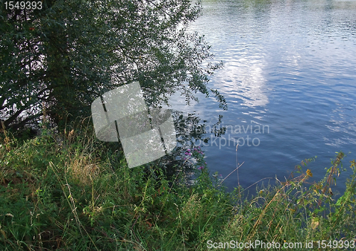 Image of waterside scenery with vegetation