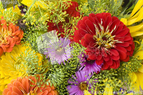 Image of colorful floral back