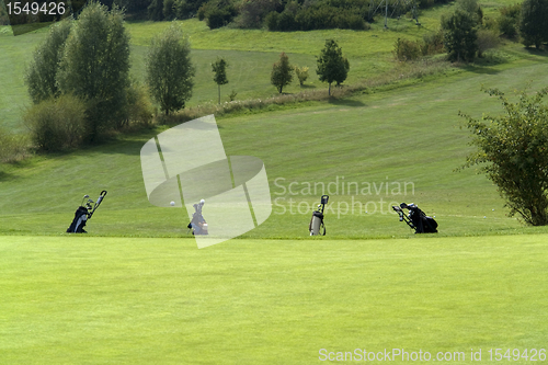 Image of golf scenery at summer time