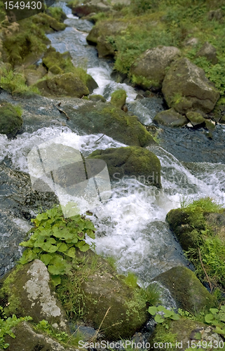 Image of idyllic Triberg Waterfalls
