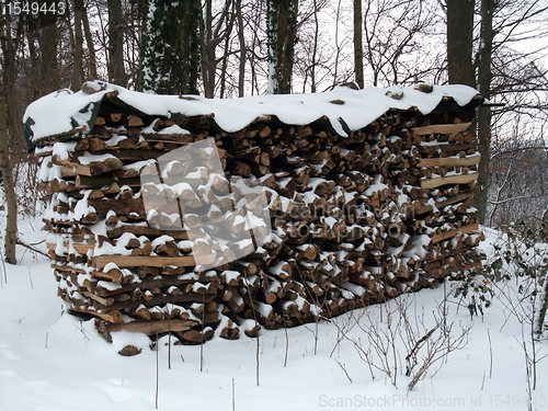 Image of snow covered stacked wood