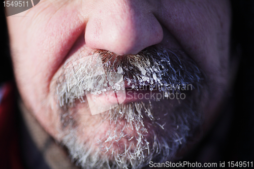 Image of frozen gray beard and mustache