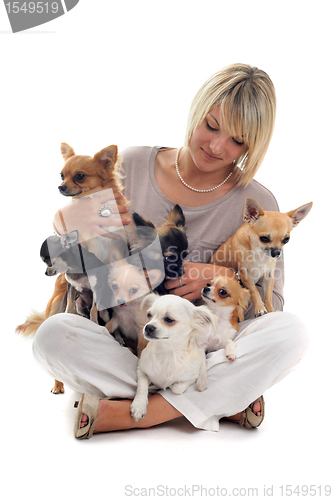 Image of girl and chihuahuas
